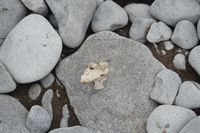 
DSC00150